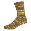 Laine pour chaussettes ONline « Supersocke Merino Color, assortiment 368 »