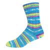 Laine pour chaussettes ONline « Supersocke Merino Color, assortiment 368 »