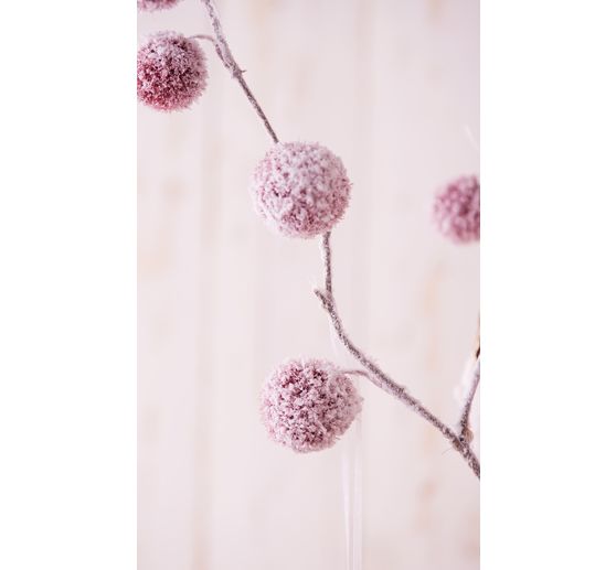 Pompon twig, snow-covered