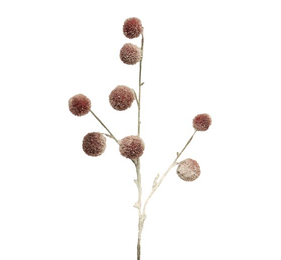 Pompon twig, snow-covered