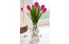 Tulipe à tige unique