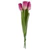 Tulipe à tige unique Mauve
