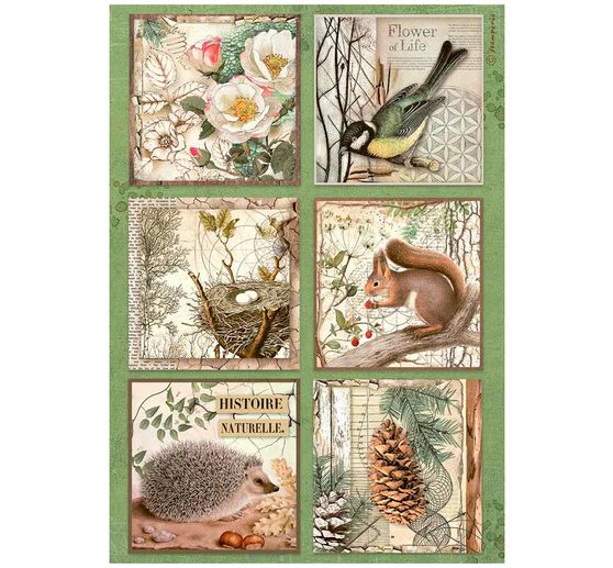 Soie de paille à motifs « Forest »