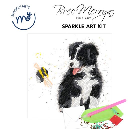 Set maxi-carte « Diamonds »