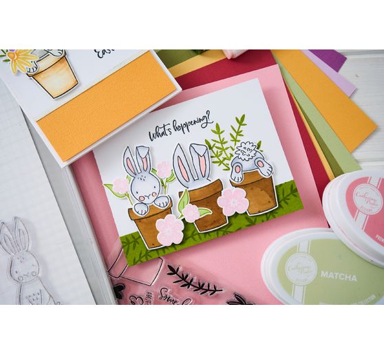 Sizzix Thinlits gabarit d'estampe par Catherine Pooler
