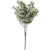 Boxwood branch "Evergreen" Eucalyptus