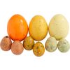 Assortiment d'œufs décoratifs Jaune