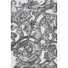 Sizzix A5 gabarit d'embossage 3D par Tim Holtz Entangled