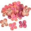 Fleurs d'hortensia Peach