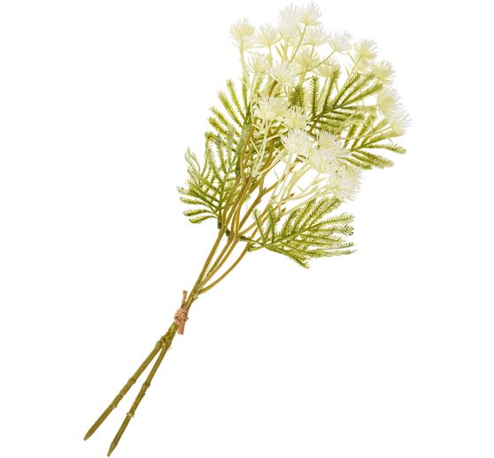 Branche de l'inflorescence