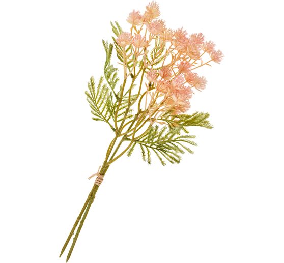 Branche de l'inflorescence