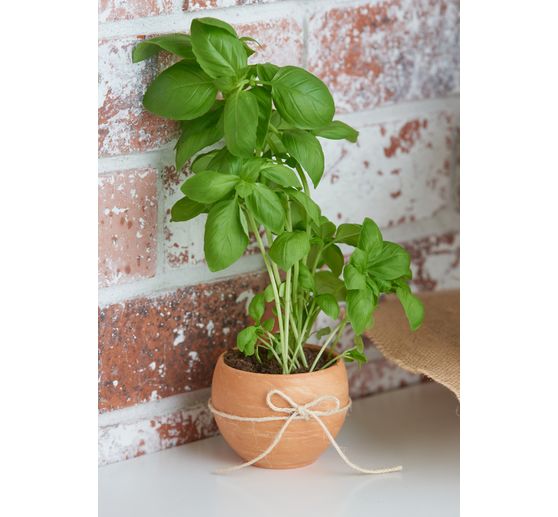Cordelette de jute « Basic »