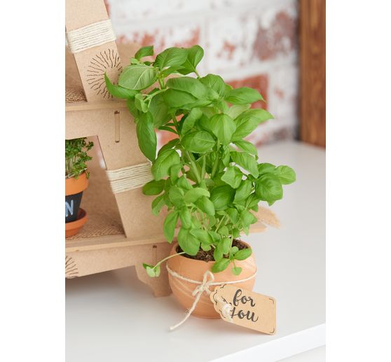 Cordelette de jute « Basic »