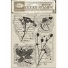 Tampons Clear Stamps « Herbarium Silvae » Botanic