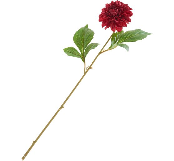 Dahlia &laquo; George Spray &raquo;