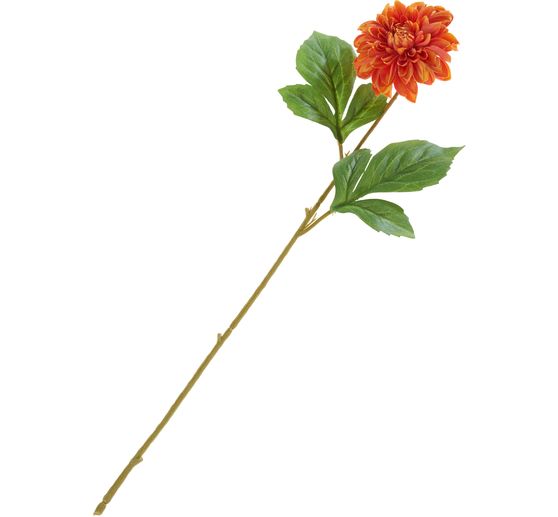 Dahlia &laquo; George Spray &raquo;