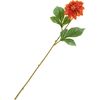 Dahlia &laquo; George Spray &raquo; Orange