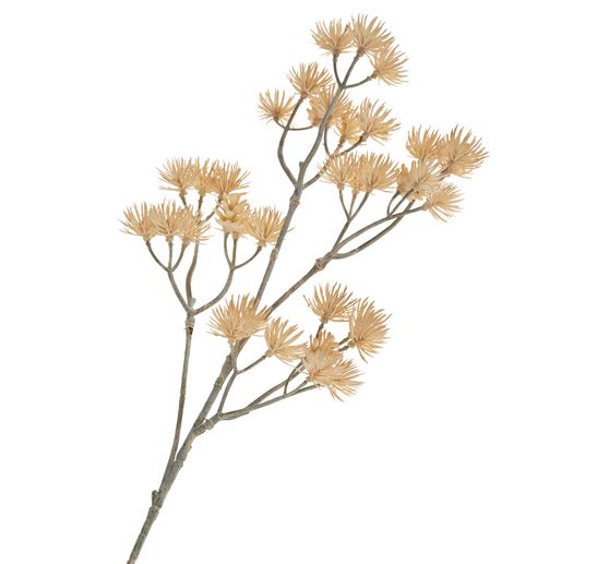 Tige &agrave; inflorescence &laquo; Liliana &raquo;