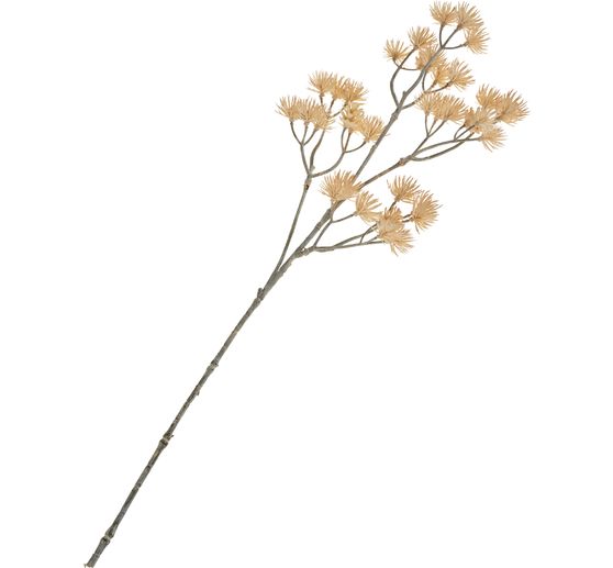 Tige &agrave; inflorescence &laquo; Liliana &raquo;