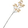 Tige &agrave; inflorescence &laquo; Liliana &raquo; Cream