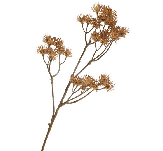 Tige &agrave; inflorescence &laquo; Liliana &raquo;