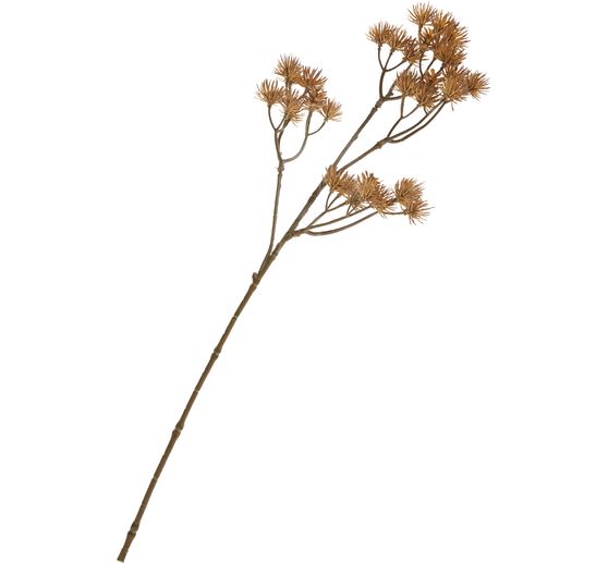 Tige &agrave; inflorescence &laquo; Liliana &raquo;