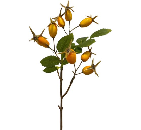 Branche d'&eacute;glantier