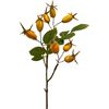 Branche d'&eacute;glantier Jaune