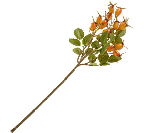 Branche d'&eacute;glantier