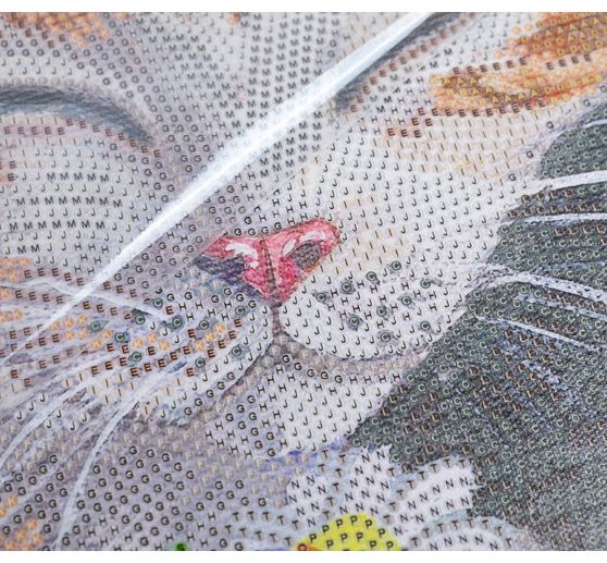 Diamond Painting &laquo; Crystal Art Kit &raquo;, 30 x 30 cm