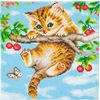 Diamond Painting &laquo; Crystal Art Kit &raquo;, 30 x 30 cm Kitten