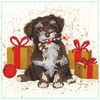 Set maxi-carte &laquo; Diamonds &raquo; Scamp
