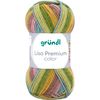 Laine Gr&uuml;ndl &laquo; Lisa Premium color &raquo; Couleur 23