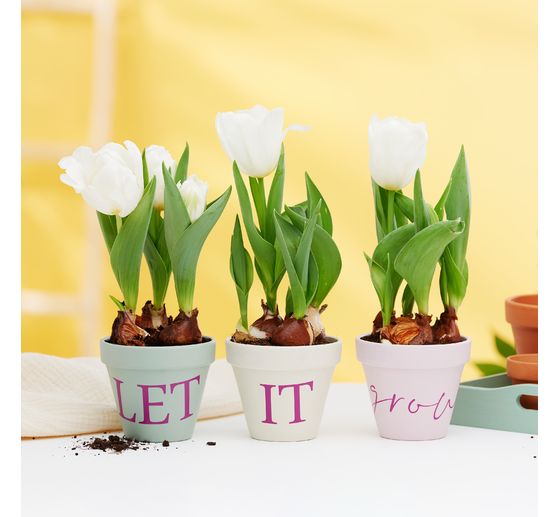 Pots en terre cuite