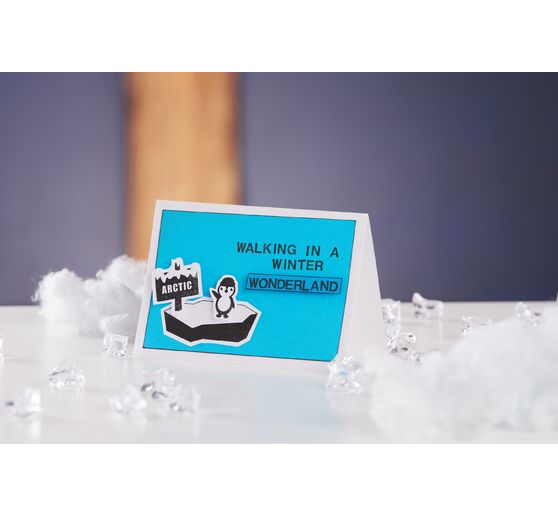 Tampons en silicone VBS « Monde polaire »