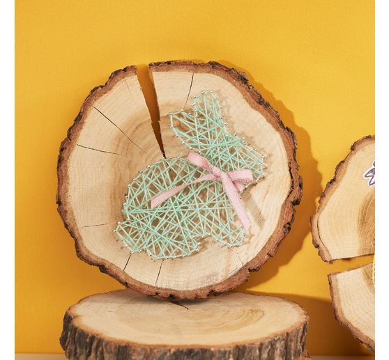 Tronçons de bois VBS « Rond »