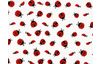 Tissu au mètre « Coccinelle »