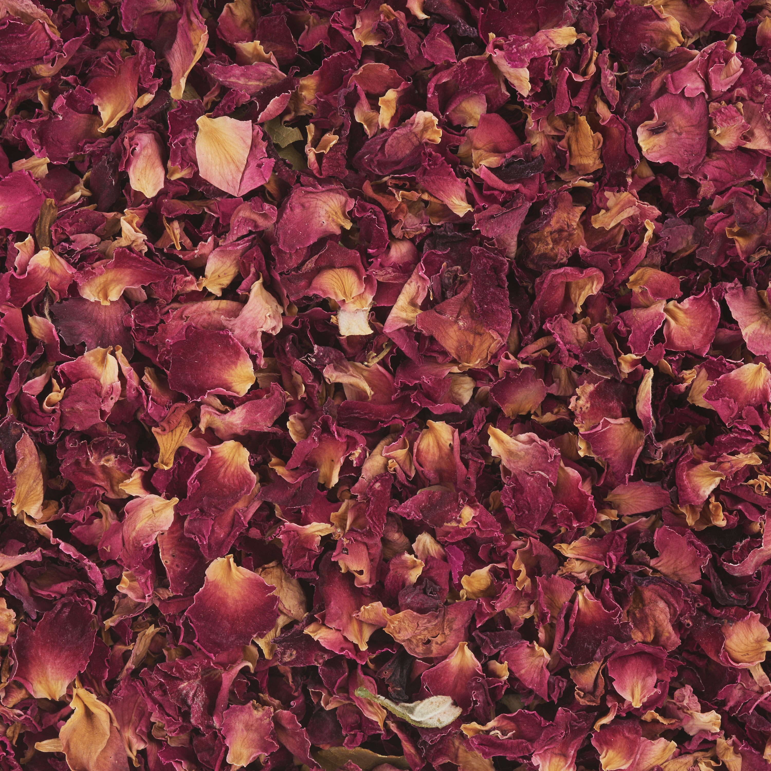 100g Pétales De Rose Séchées Naturelles - Fleurs Rouges Pour Bain, Mariage Et Décoration