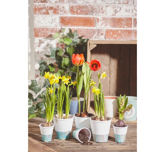 Pots terre cuite, bords arrondis, 3 pc.