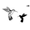 Pochoir « Colibris », A4, 2 motifs