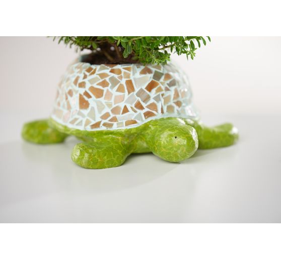 Flowerpot "Turtle", paper mache, waterproof