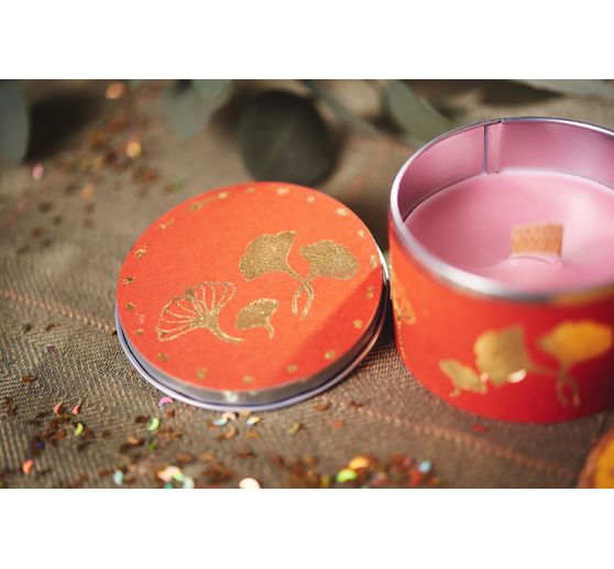 Tampons Clear Stamps « Gingko »
