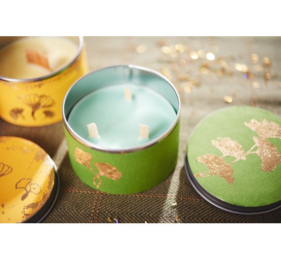 Tampons Clear Stamps « Gingko »
