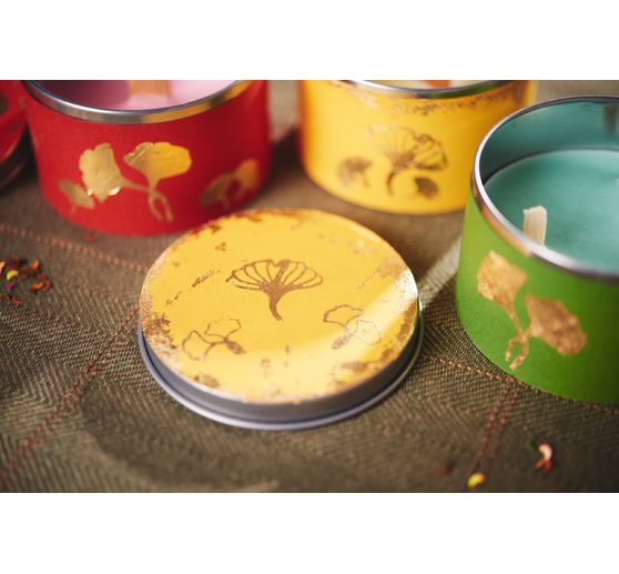 Tampons Clear Stamps « Gingko »