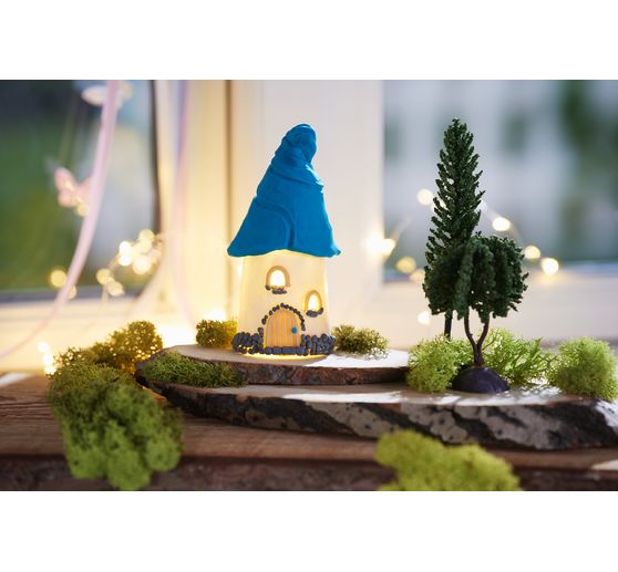 Miniature conifer