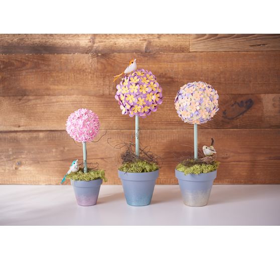 Pots en terre cuite