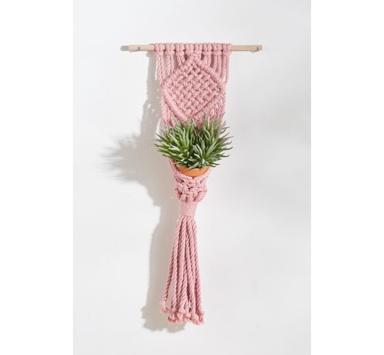 Pots en terre cuite