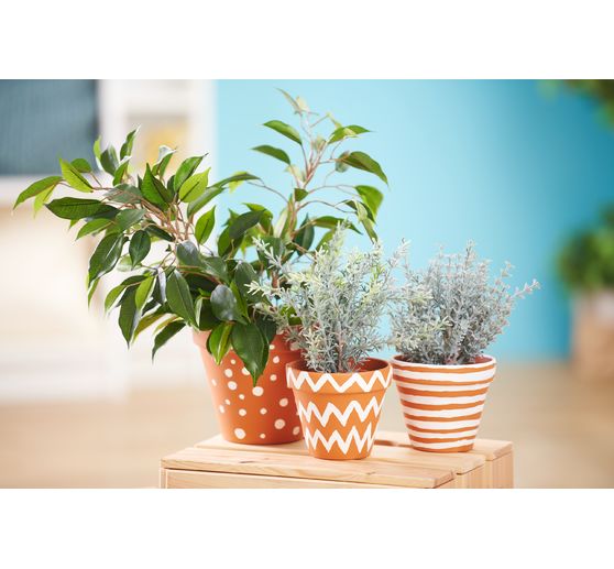 Pots en terre cuite