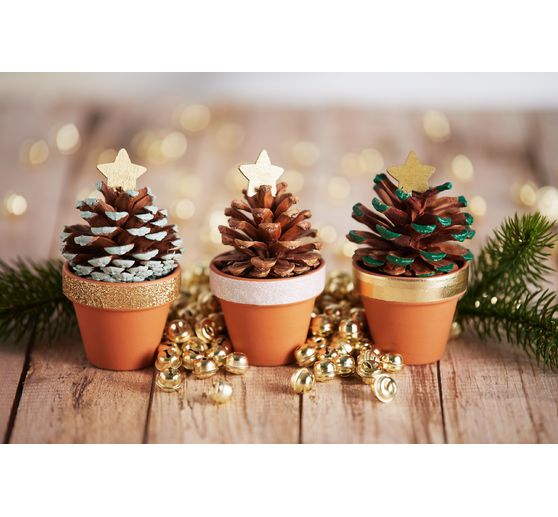 Pots en terre cuite