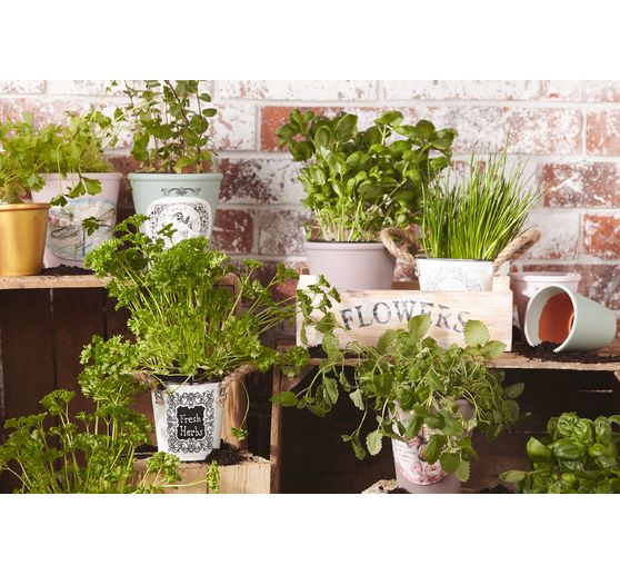 Pots terre cuite, bords arrondis, 3 pc.